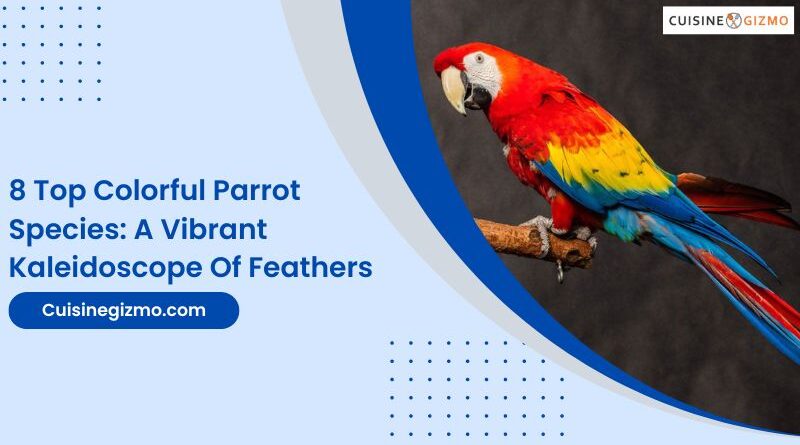 8 Top Colorful Parrot Species: A Vibrant Kaleidoscope of Feathers
