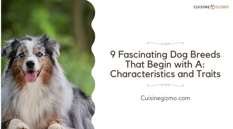 9 Fascinating Dog Breeds That Begin with A: Characteristics and Traits