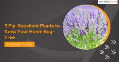9 Fly-Repellent Plants to Keep Your Home Bug-Free