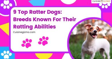 9 Top Ratter Dogs: Breeds Known For Their Ratting Abilities