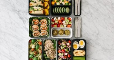Best Bento Boxes for Everyone in the Family