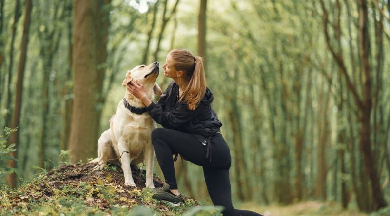 Best Dogs for Hiking and Climbing