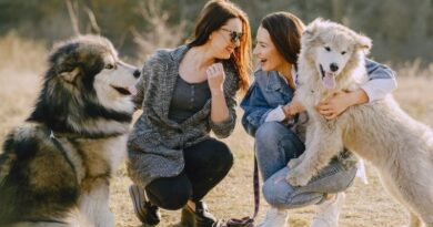 Best Dogs for Making Friends