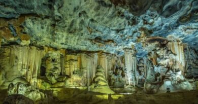 Discover Indiana’s 6 Best Caves Unveiling Subterranean Wonders