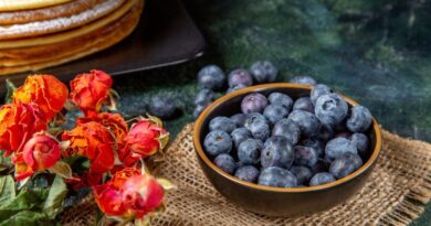 Excess Blueberries? 6 Creative Ways to Make the Most of Your Harvest