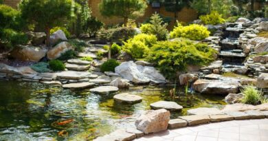Explore 8 Creative Backyard Koi Pond Ideas for a Tranquil Oasis