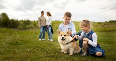 The 10 Best Dogs for Kids and Families Finding the Perfect Canine Companion