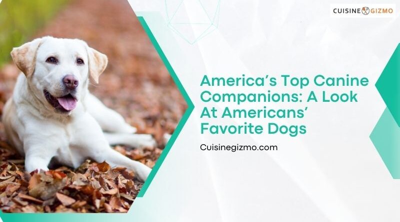 America’s Top Canine Companions: A Look at Americans’ Favorite Dogs