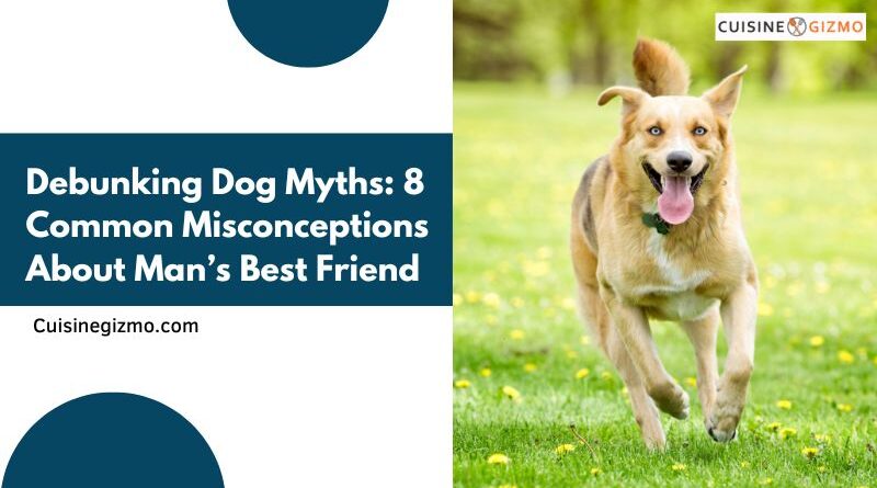 Debunking Dog Myths: 8 Common Misconceptions About Man’s Best Friend