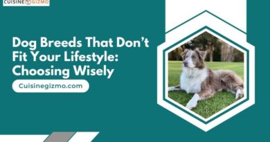 Dog Breeds That Don’t Fit Your Lifestyle: Choosing Wisely