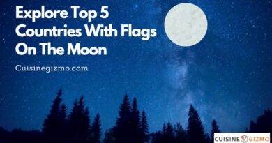 Explore Top 5 Countries With Flags On The Moon