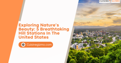 Exploring Nature’s Beauty: 5 Breathtaking Hill Stations in the United States