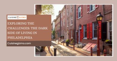 Exploring the Challenges: The Dark Side of Living in Philadelphia