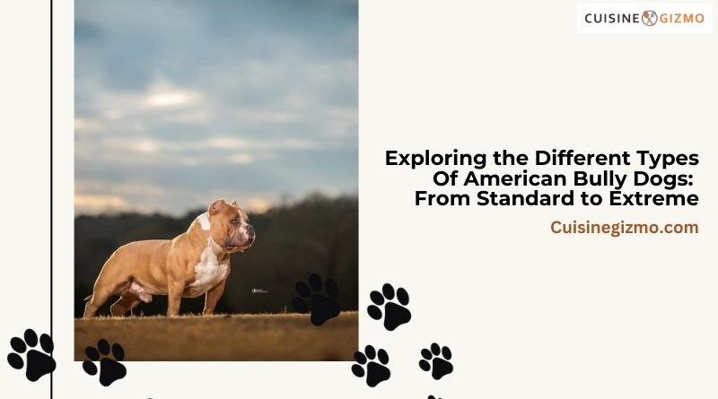 Exploring the Different Types of American Bully Dogs: From Standard to Extreme