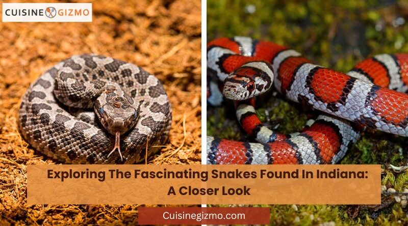 Exploring the Fascinating Snakes Found in Indiana: A Closer Look