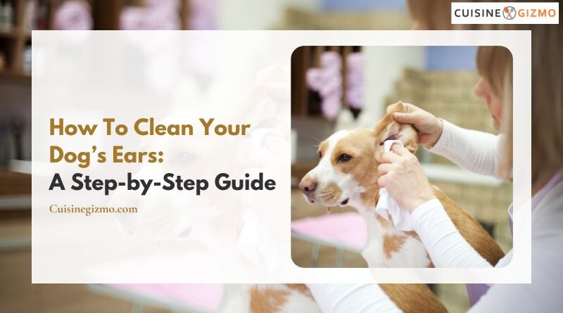 How to Clean Your Dog’s Ears: A Step-by-Step Guide