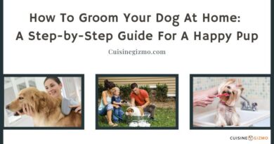 How to Groom Your Dog at Home: A Step-by-Step Guide for a Happy Pup