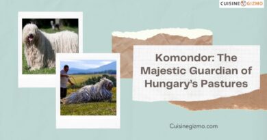 Komondor: The Majestic Guardian of Hungary’s Pastures