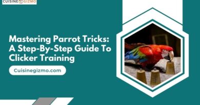 Mastering Parrot Tricks: A Step-by-Step Guide to Clicker Training