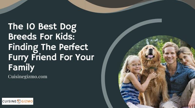 The 10 Best Dog Breeds for Kids: Finding the Perfect Furry Friend for Your Family