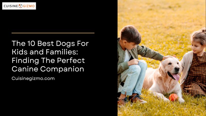 The 10 Best Dogs for Kids and Families: Finding the Perfect Canine ...