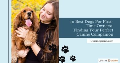 10 Best Dogs for First-Time Owners: Finding Your Perfect Canine Companion