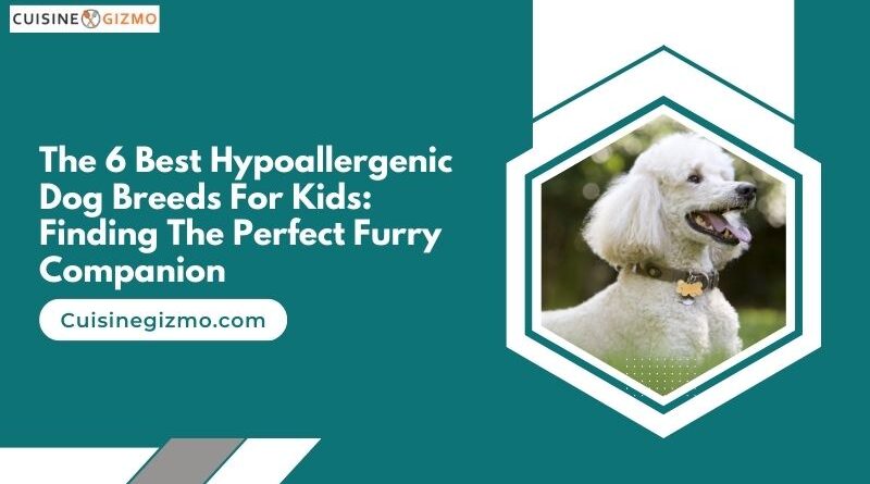 The 6 Best Hypoallergenic Dog Breeds for Kids: Finding the Perfect Furry Companion