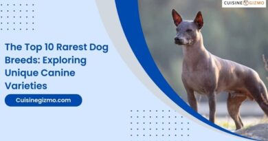 The Top 10 Rarest Dog Breeds: Exploring Unique Canine Varieties