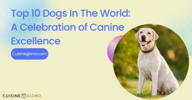 Top 10 Dogs in the World: A Celebration of Canine Excellence