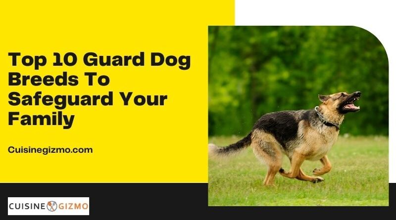 Top 10 Guard Dog Breeds to Safeguard Your Family