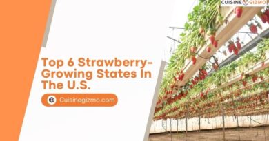 Top 6 Strawberry-Growing States in the U.S.
