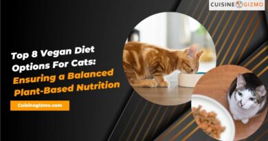 Top 8 Vegan Diet Options for Cats: Ensuring a Balanced Plant-Based Nutrition