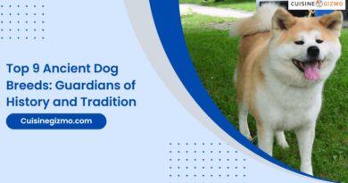 Top 9 Ancient Dog Breeds: Guardians of History and Tradition