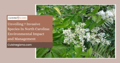 Unveiling 7 Invasive Species in North Carolina: Environmental Impact and Management