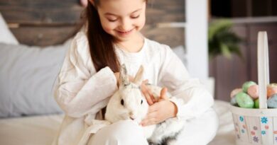 7 Basic Care for Pet Rabbits