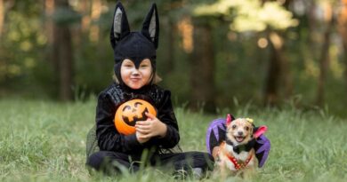 7 DIY Dog Halloween Costumes Unleash the Creativity!