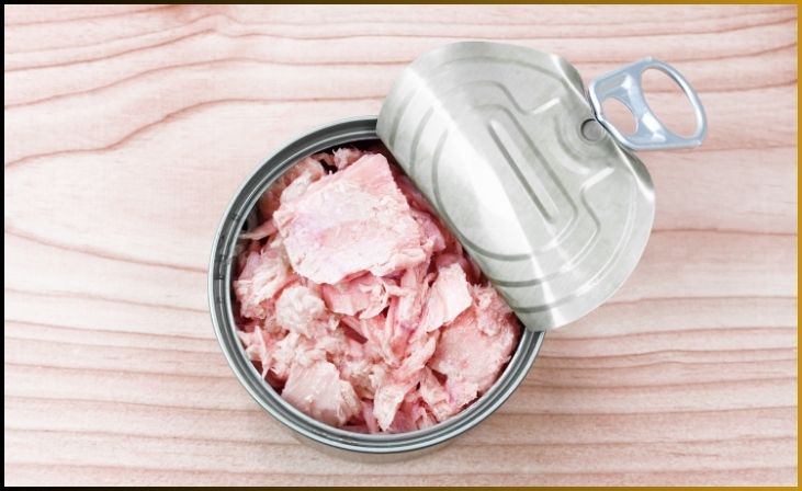 Canned Tuna