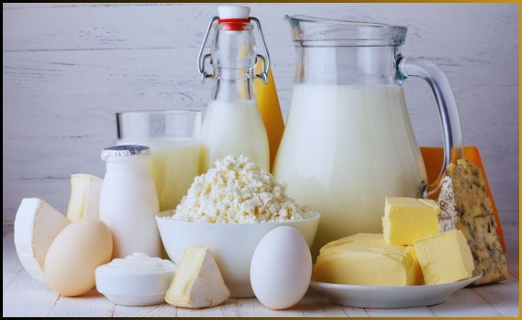 High-Fat Dairy Products