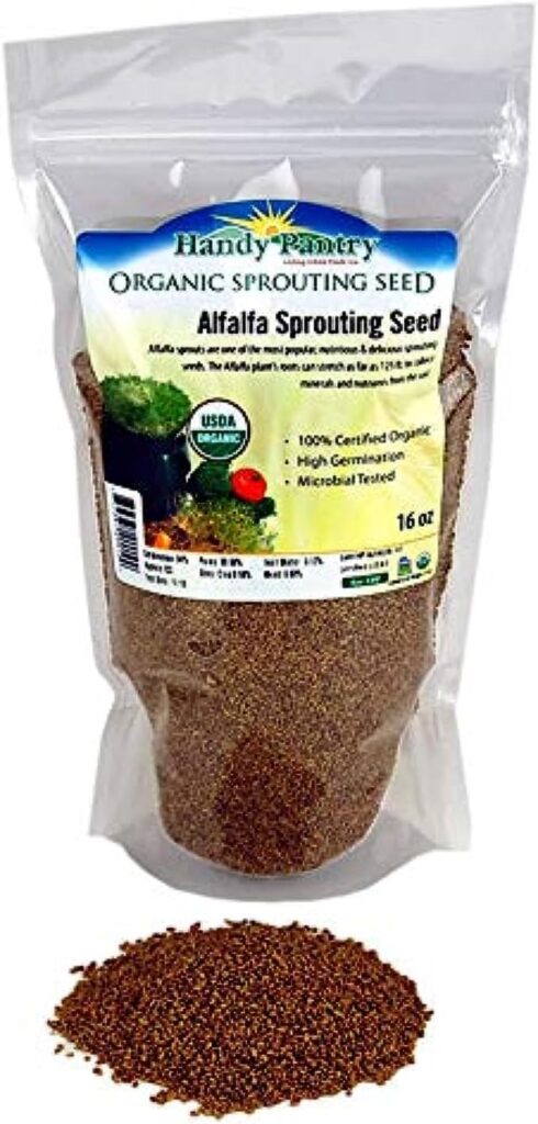 Alfalfa Sprouts 