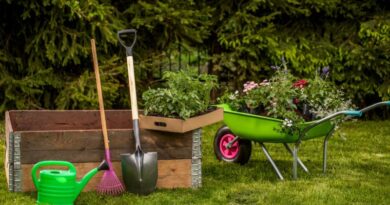 7 Essential Garden Tools for the Beginner