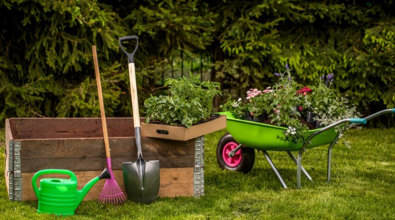 7 Essential Garden Tools for the Beginner