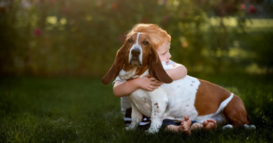 7 Hound Dogs That Make Ideal Family Pets
