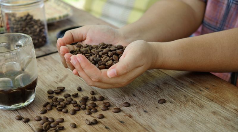 8 Ingenious Ways to Reuse Used Coffee Grounds