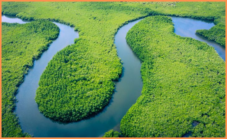 Amazon River (South America)