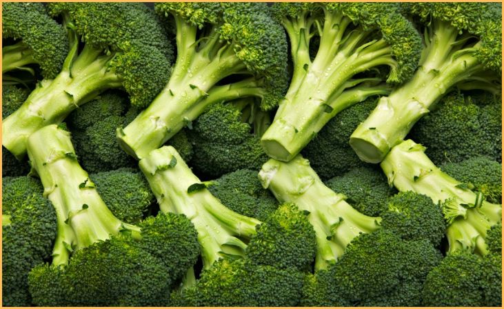 Broccoli's 
