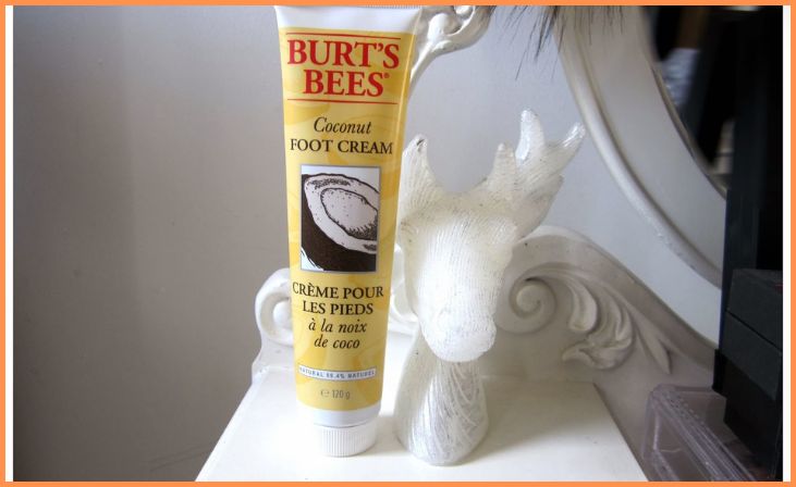 Burt's Bees Coconut Foot Cream