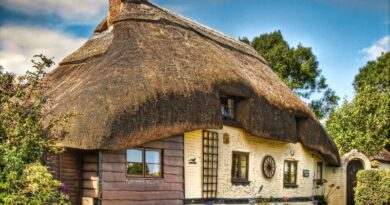 Most Beautiful Thatched Roof Villages