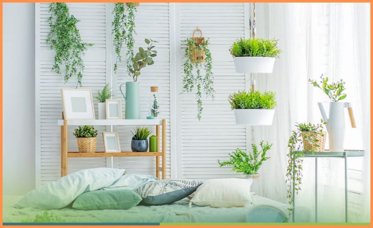 Natural Elements and Indoor Plants