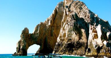 The Top 7 Things to Do in Cabo with Kids