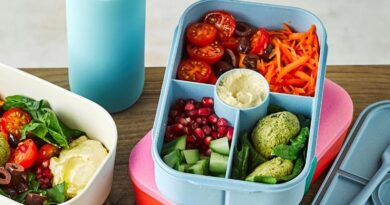 Healthy Lunchbox Ideas: Easy and Nutritious Meals Kids Will Love